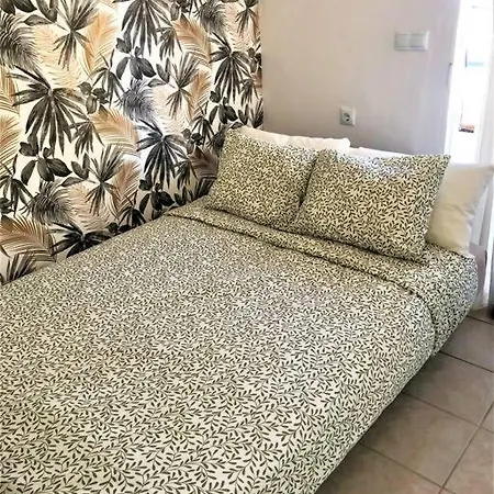 Apartment Jhony